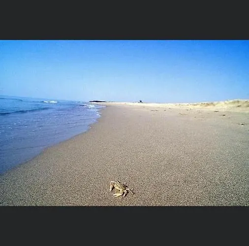 Luxury Affitti Brevi *